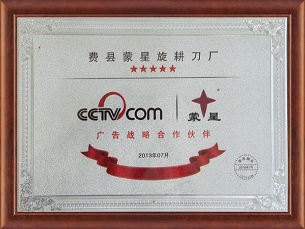 CCTV廣告戰(zhàn)略合作伙伴